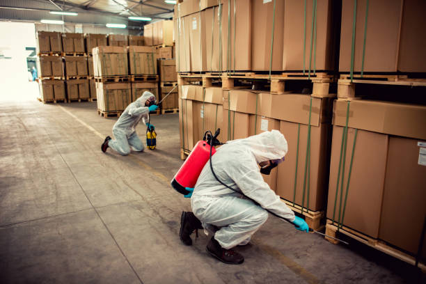 Best Flea Control Services  in Washington, MO