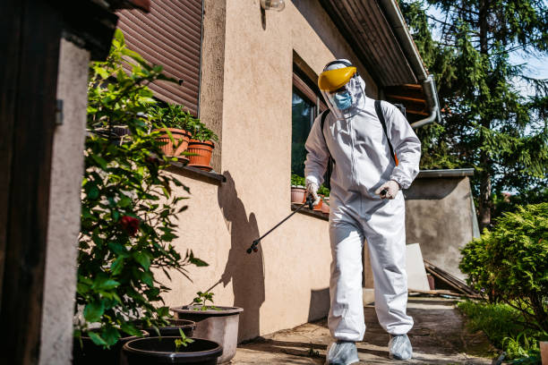 Best Affordable Pest Control Services  in Washington, MO