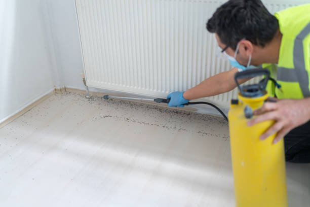 Best Emergency Pest Control  in Washington, MO